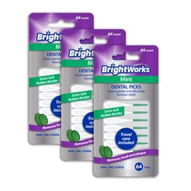 BrightWorks Mint Dental Picks, with Extra Soft Rubber Bristles and Flexible Tip, Clean Gently and Effectively Between Teeth, Travel Case Included, 3 Packs (64 Per Pack) [192 Total Picks]