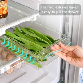KARYHOME KITCHEN FRIDGE DRAWER SPACE SAVER ORGANIZER STORAGE RACK SHELF HOLDER KARYHOME