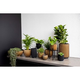 Capi Europe - Pot Tall Groove Black & Gold - 8x12 - Gold - Opening Ø6 - Flower Pot for Indoor Use - BGVGB431