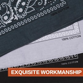 Raylarnia 100% Cotton Large Bandanas for Men and Women, 22 Inch Paisley Bandana with Multiple Colors, Black / Dark Gray / Light Gray, 22x22 Inch (Pack of 3)