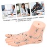 ORFOFE 19CM Foot Massage Acupoint Model Reflexology Teaching Tool Foot