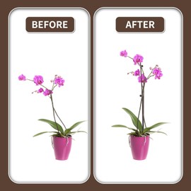 10 estacas de soporte para plantas con 15 clips de plantas, palitos de plantas para plantas de interior y exterior, clips y estacas de orquídeas, estacas de flores de un solo tallo doblables de 16