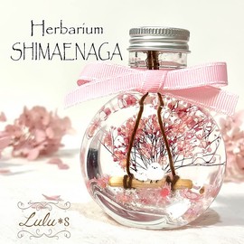 Lulu's Lulus-0636 Cherry Blossom Herbarium Preserved Flowers, Spring, Cherry Blossoms, Cherry Blossoms, Snow Fairy, Hokkaido, Wild Birds, Dried Flowers, Bottle Size (W x D x H): 2.8 x 1.8 x 3.7 inches (7 x 4.5 x 9.5 cm), 3.4 fl oz (100 ml)