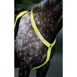 Equi-Flector Breastplate - Bright Pink: Cob/Full