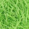 DERAYEE 100 g Easter Grass, Raffia Hamper Shreds, Shredded Tissue