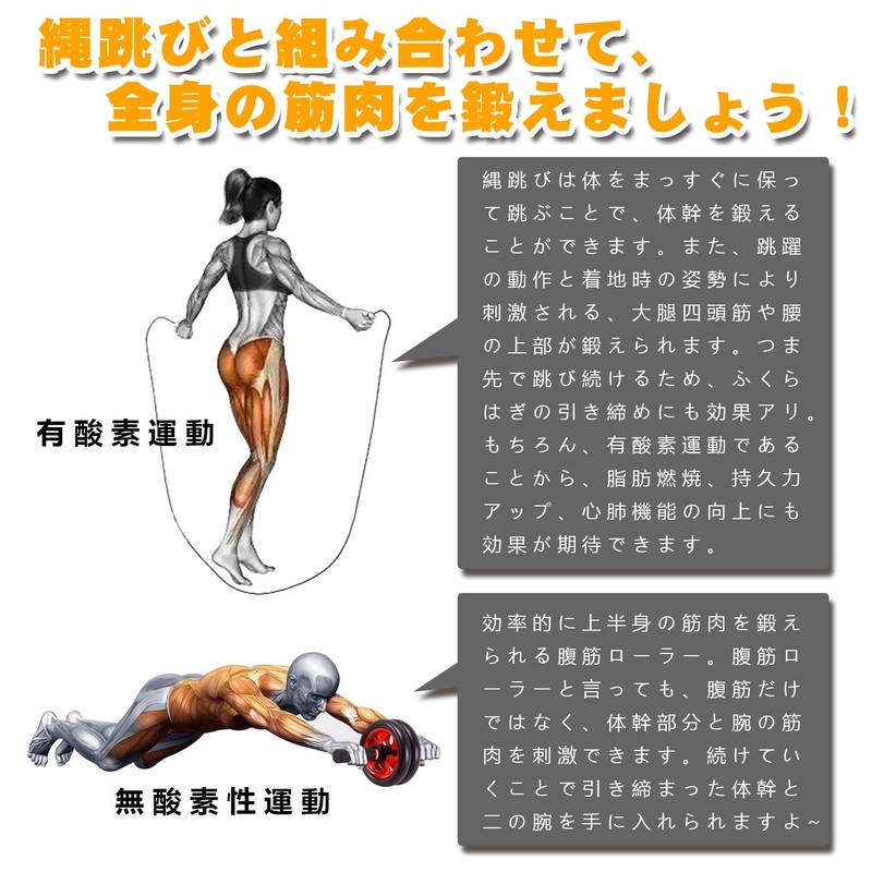 FEELCAT Abdominal Roller, Silent, Ab Roller, Slim Trainer, Ab Wheel,