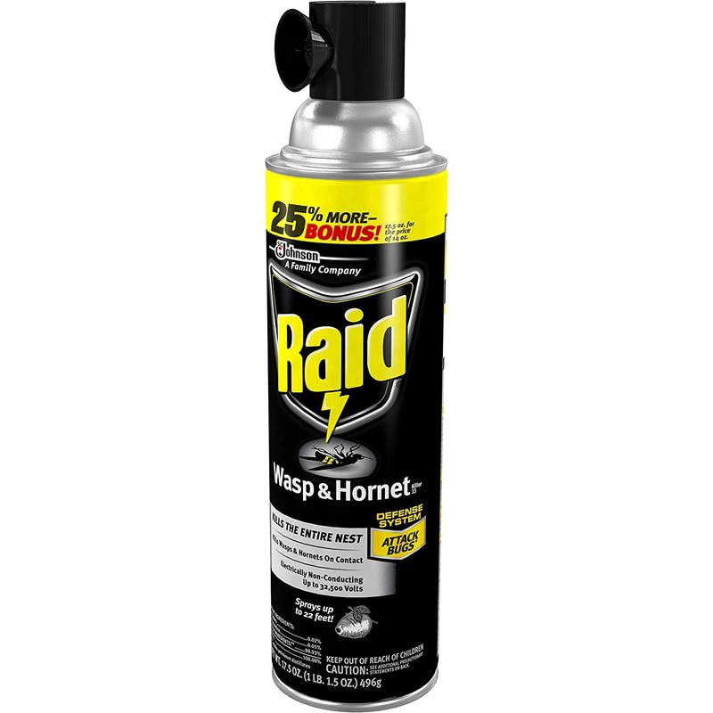 Raid Wasp and Hornet Killer, 17.5 Oz (Pack of 4)