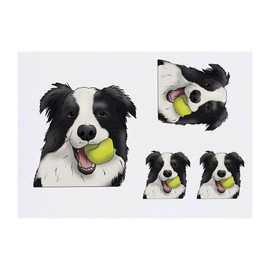 4 x 'Border Collie With Ball' Temporary Tattoos - Water Resistant, Skin-Safe, Non-Toxic Transfers, Mixed Sizes (TO00061898)