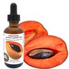 Best Nature's Cosmetics Mamey Sapote Oil Organic - revitalize dry