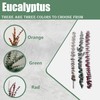 (20Pcs) Dried Eucalyptus Stems - Red, Fall Decorations for Home,