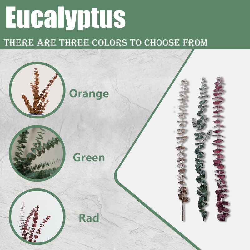 (20Pcs) Dried Eucalyptus Stems - Red, Fall Decorations for Home,