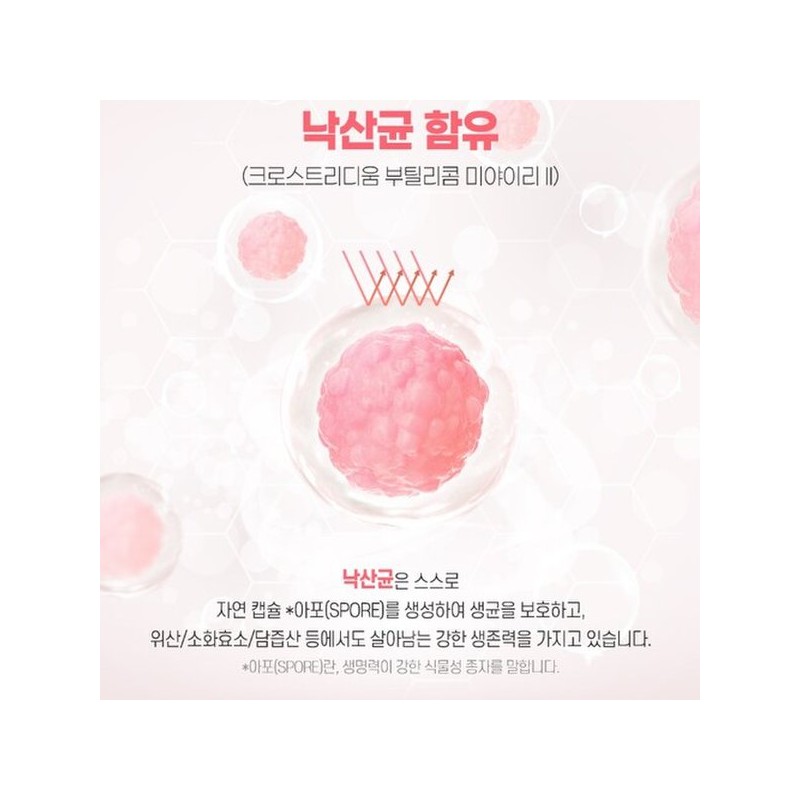 낙산균유산균 다니스코 17종 유산균 배합물 락토코커스 비피도박테리움 락토바실러스 함유 30정
