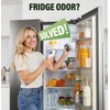 FLAWNT Fridge Deodorizer, 10-Year Odor Eliminator for Refrigerator, No Refills