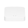 Intelligent Wireless Gateway Hub WiFi 802.11 B/g/n AI Voice Control