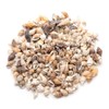 GOLD STONE Seashell Parts, Resin, 10g Shell, Material, Home Time,
