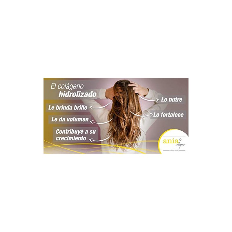 Colágeno Hidrolizado Polvo 100 Puro Presentación 500g Suplemento Natural Base
