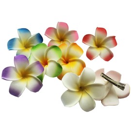 Hawaiianische Frangipani-Plumeria-Schaumkopf-Blume, Party, Strand, Haarschmuck, 2 Stück (weiß + violett)