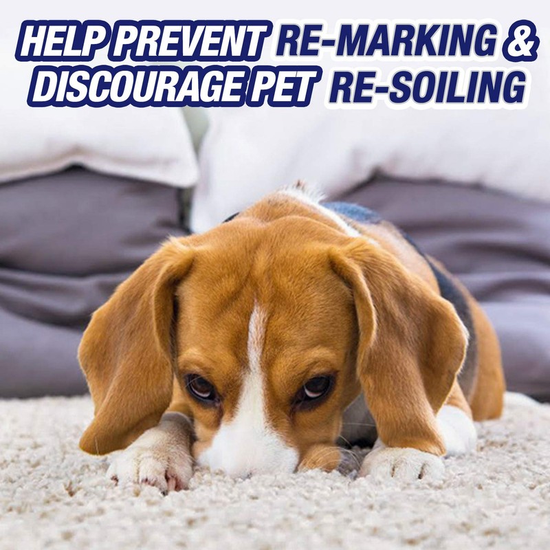 Resolve Urine Destroyer Pet Urine Stain and Odor Remover Spray,