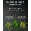 Naturalebio Té Verde Matcha En Polvo Orgánico 99 G