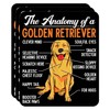 (Pack of 3) Anatomy of A Golden Retriever Dog Lover