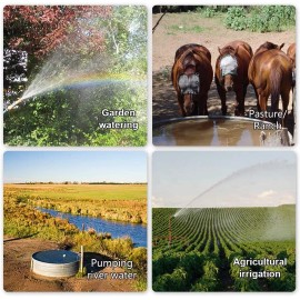 ‎ECO-WORTHY 12V DC Submersible Deep Well Pump 3.2GPM 230ft for Irrigation   ‎Stainless Steel