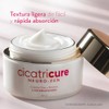 Cicatricure Neuro Zen Crema Anti Arrugas Ingredientes Activos Que Calman