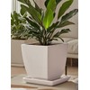 Square Plant Saucer 12 Inch 1 Pack，Plant Trays for Pots,