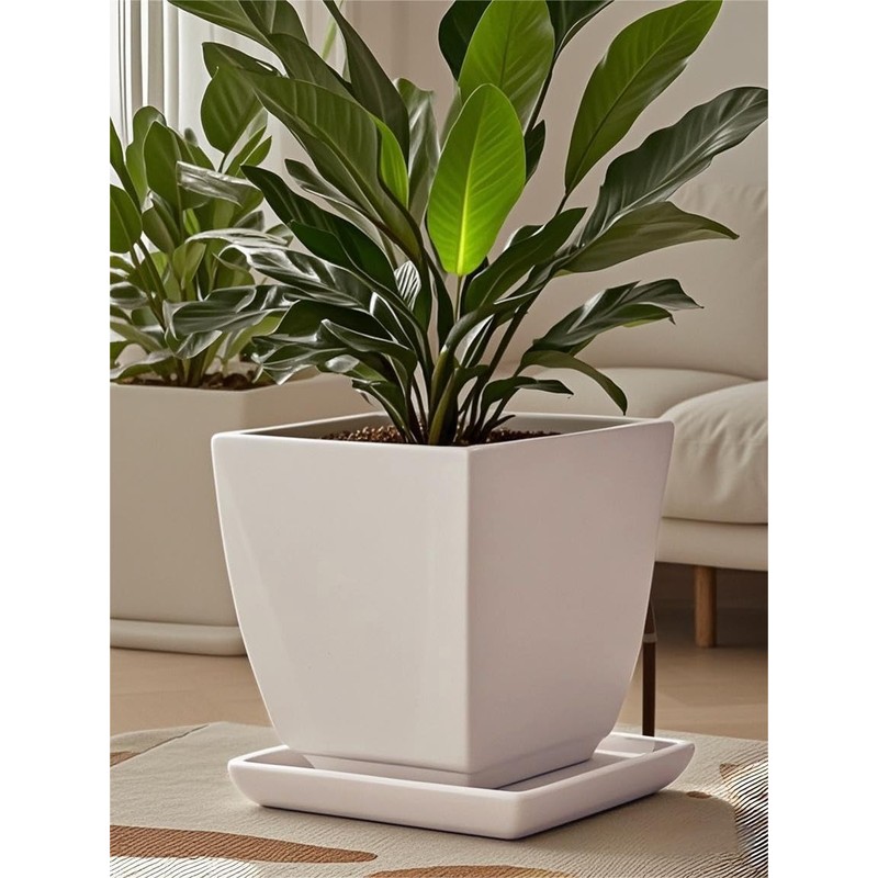 Square Plant Saucer 12 Inch 1 Pack，Plant Trays for Pots,