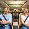 VOPOCO Dog Car Barrier with Storage Pocket, Mesh Pet Net