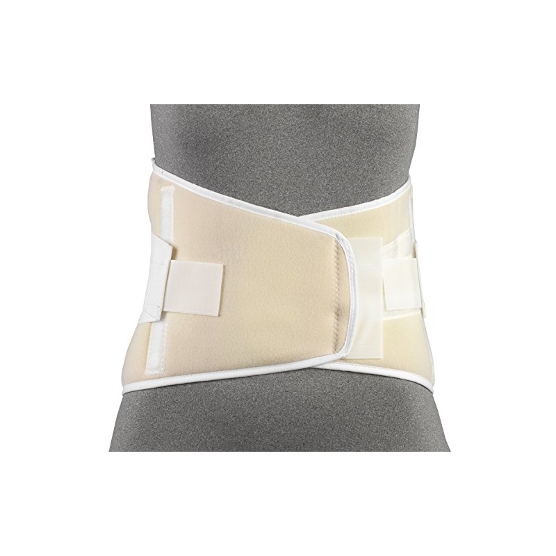CHAMPION Industrial Belt Back Brace Abdominal Support Shoulder Straps, Black