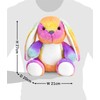 Mousehouse Gifts 25cm Rainbow Rabbit Soft Toy