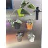 Magnetic Planter Pots, Set of 5, Mini Planter Pots, Indoor