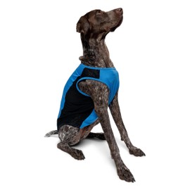 Insect Shield Pet Breathable Sleeveless Mesh Airflow Tank Top with Built in Bug and Tick Protection, Lake, X-Large