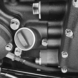 Motorcycle Bolt Covers Head Bolt Toppers Caps Chrome Kit For Harley 2018-2023 Softail Touring Road King Street Glide Road Glide 2017-2023 (Chrome)