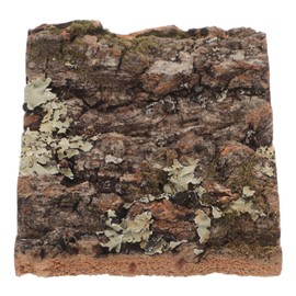 GRIRIW Cork Bark Decorations for Reptile Tanks and Aquariums Natural Tree Bark Wall Decor for Terrariums for Bearded Dragons Enhances Indoor Spaces and Aquatic Settings