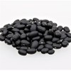 Black Turtle Bush Bean Seeds - 100 Count Seed Pack