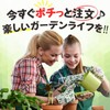 Leap Raupe Large Granule Pumice for Gardening, 1L Bottom Stone