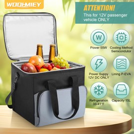 WODHMIEY 15L Portable Electric Cooler Bag,Car Cooler Watertight Liner Bag, Soft Sided Thermoelectric Travel Cooler with Shoulder Strap, Storage Pocket & DC 12V Plug in for