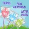 Tiger Pops Assorted Easter Candy Individually Wrapped Bulk Lollipops for
