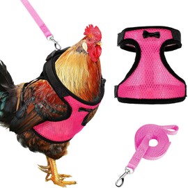 Chicken Harness with Leash, Upgraded Double Adjustment Chicken Harness and Leash Set for Hens, Duck, Goose, Small Pet (Purple, S)
