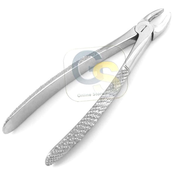 G.S EXTRACTING Forceps #29S English Pattern Dental Instruments