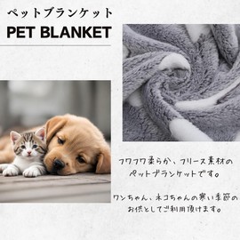stepmarket Pet Blanket, Bear Pattern, 3-Piece Set, 23.6 x 14.6 inches (60 x 37 cm), Bed, Rug, Soft, Fleece Material, Dogs and Cats, Mosquishy, Bedding, Fleece, Cute, Large, Small Dogs, Kittens,