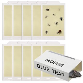 Qualirey 10 Pack Sticky Mouse Traps, Pro Strength Mouse Glue Board Indoor for Home, Glue Traps for Mice and Insects, Peanut Butter Pre-Scented and Non Toxic,Indoor Pest Control, 8 X 5.5 Inch