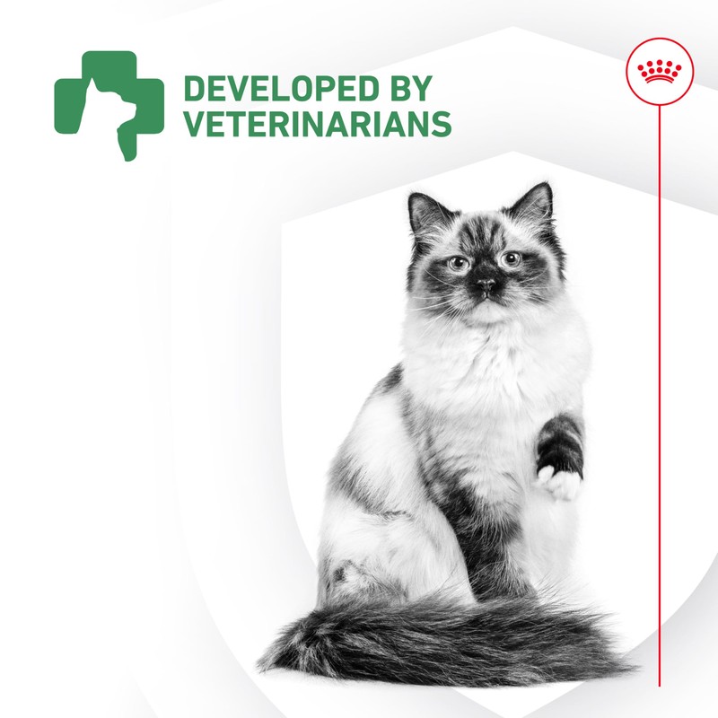 Royal Canin Probiotics for Cats Digestive and Immune Health Powder
