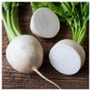 Everwilde Farms - 1 Oz Hailstone Radish Seeds - Gold