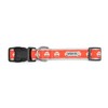THE WORTHY DOG Collar for Medium Dogs, Adjusts 12-18 inches,