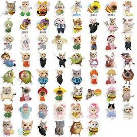 JEYORZY Pack of 62 stickers, cute stickers, funny cat sticker set, cute cat stickers, waterproof, for cat lovers, water bottles, scrapbook, phone