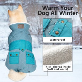 kyeese Dog Coats Warm Dog Jacket Winter Windproof Waterproof Dog Jackets Padded Sherpa with Leash Hole for Small Dogs Turtleneck Cold Weather Coats, Mist Blue, S