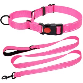HSIGIO Martingale Collar for Dogs, Reflective Martingale Dog Collar and Leash Set, No Pull Adjustable Dog Training Collars with Quick Release Buckle for Medium Dogs(Pink, M)