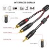 TIMEYES 3.5 to RCA Y-Cable - Male 3.5 mm to